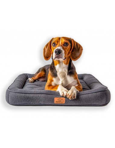 Coussin Mémoire de Forme Chien - Confort Thérapeutique Premium de France